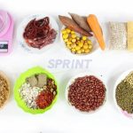 Commercial Feed Processing Machines Fish Feed