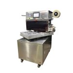 Vacuum Skin Packing Machine