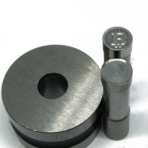 Bitcoin 3d Shaped Mold Die For Tablet Press Machine 10mm*10mm