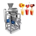 Single-Channel Spiral Fruit And Vegetable Juicer