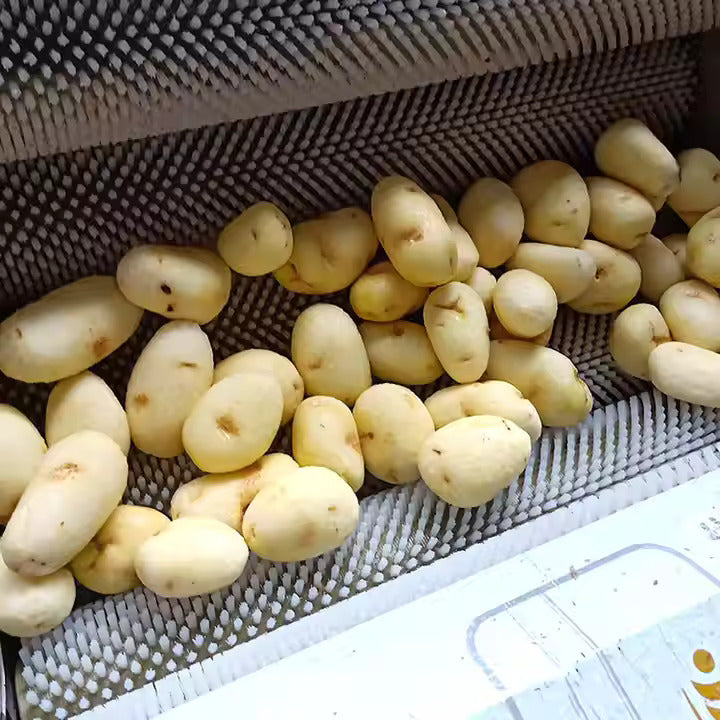 Potato Washing Peeling Machine Lotus Root Peeling Machine - Image 3