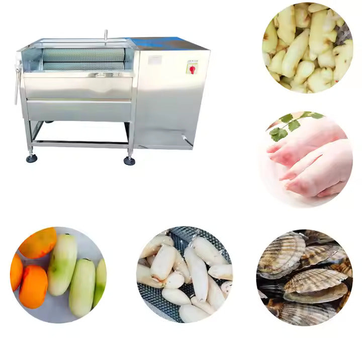 Potato Washing Peeling Machine Lotus Root Peeling Machine - Image 2