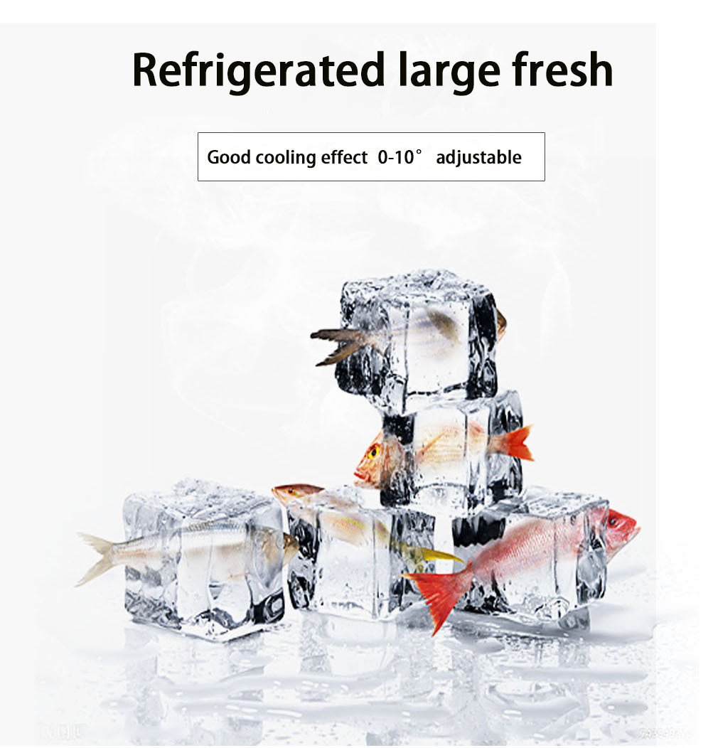 Portable Small Refrigerator for Beverages, Fruits and Breast Milk - Image 5