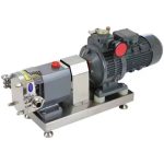 Electric Stainless Steel Rotor Pump