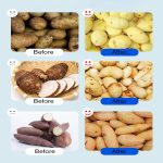 Vegetable Stuffing Dumpling Stuffing Large Capacity