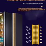 Defogging Glass Freezer Display Cabinet