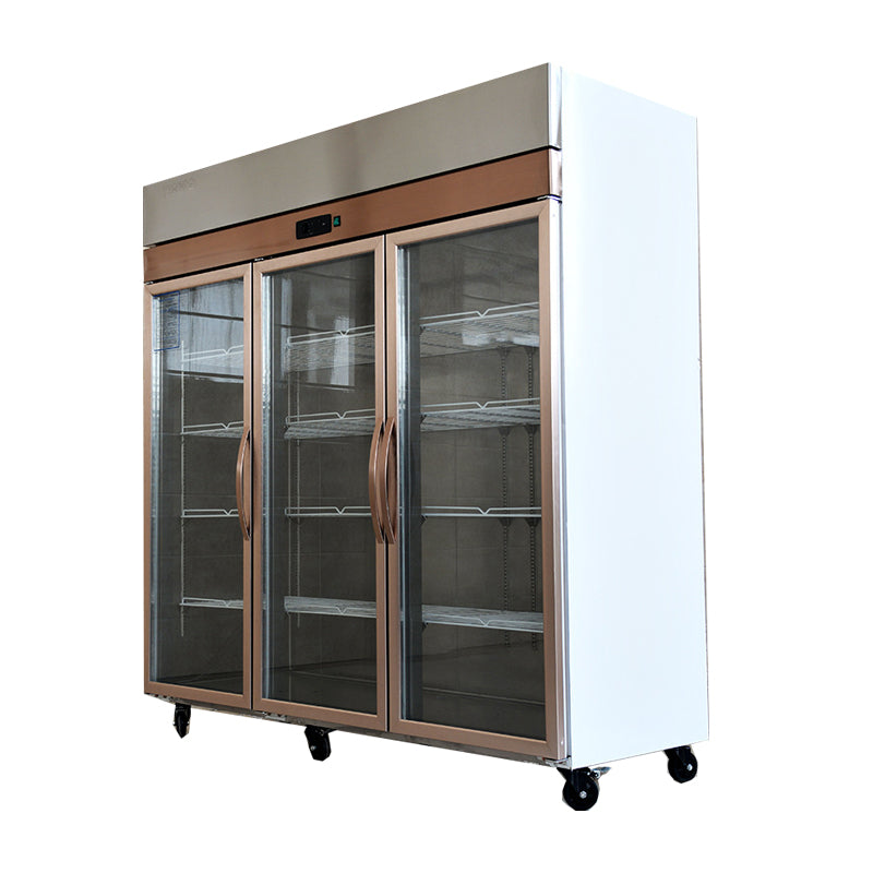 Vertical Display Freezer With Double Doors And Three Doors - Image 5