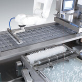 Blister Packing Machine DPP-140E/250E - Image 2